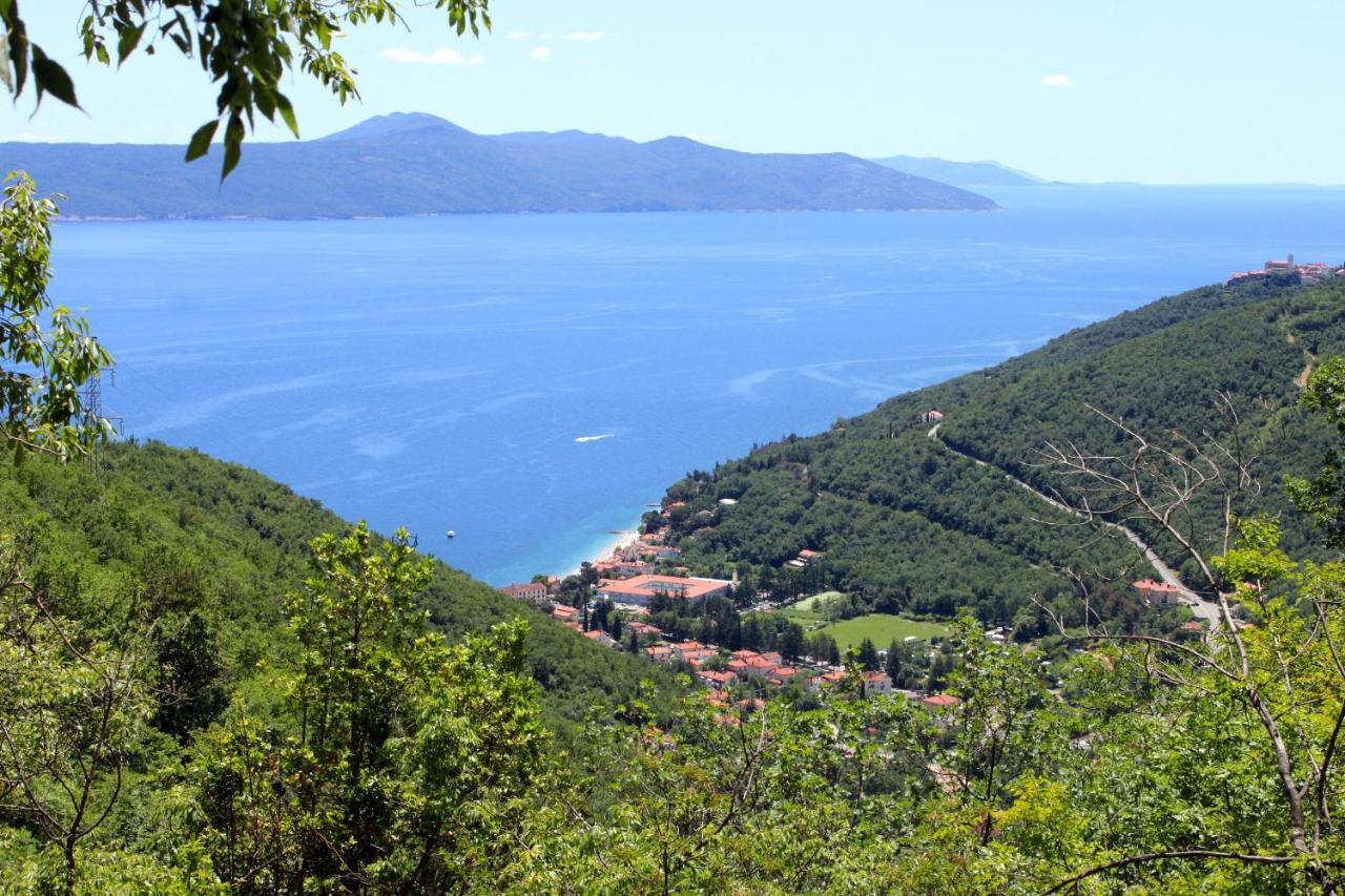 Apartments With A Parking Space Moscenicka Draga, Opatija - 7766 Exterior foto